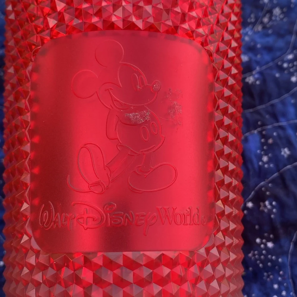 New! Walt Disney World Starbucks holiday tumbler